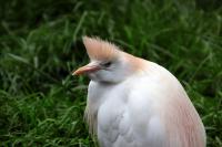IMG_0776-11.jpg
