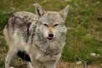 IMG_0898-11.jpg