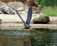 IMG_0939-11.jpg