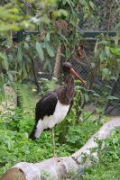 IMG_1080-11.jpg