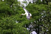 IMG_1406-11.jpg