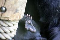 IMG_2282-11.jpg