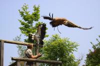 IMG_2460-11.jpg