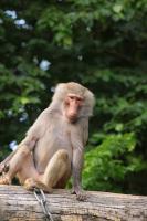IMG_3285-11.jpg