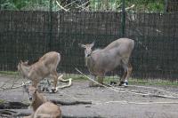IMG_3406-11.jpg