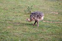 IMG_3689-11.jpg