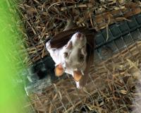 IMG_4658-11.jpg