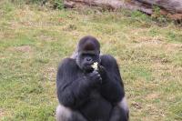 IMG_66421.jpg