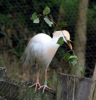IMG_69451.jpg