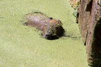 IMG_70121.jpg