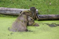 IMG_71591.jpg