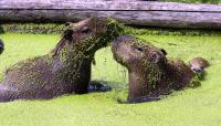 IMG_71651.jpg