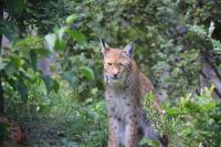 IMG_74911.jpg
