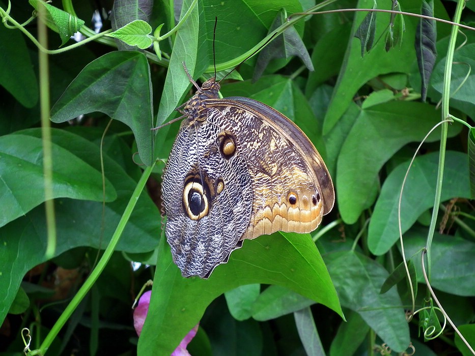 DSCF0294-11.jpg