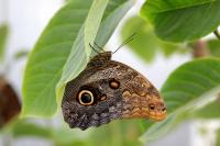 IMG_8476-11.jpg