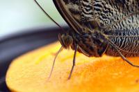 IMG_8708-11.jpg