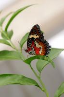 IMG_8717-11.jpg