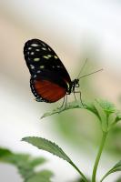 IMG_8908-11.jpg
