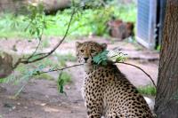 IMG_9096-11.jpg
