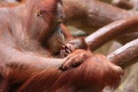 IMG_0085-11.jpg