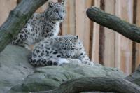 IMG_6716-11.jpg