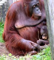 IMG_7315-11.jpg
