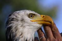 Biotopwildpark Anholter Schweiz Oktober 2010