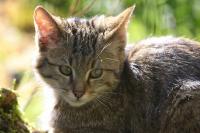 IMG_84741.jpg