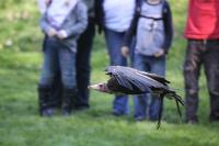 IMG_88451.jpg