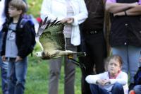 IMG_89581.jpg