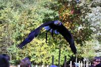 IMG_89961.jpg
