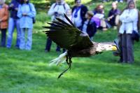IMG_90321.jpg