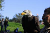 IMG_90571.jpg