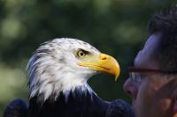 IMG_90921.jpg