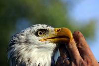 IMG_91671.jpg