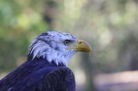 IMG_91951.jpg