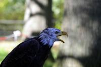 IMG_92141.jpg