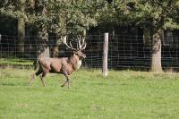 IMG_94161.jpg