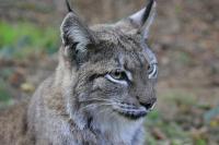 IMG_96841.jpg