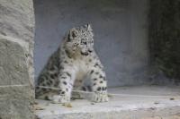 IMG_0033-11.jpg