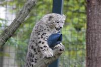 IMG_0123-11.jpg