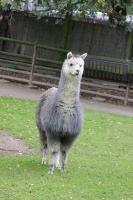IMG_0263-11.jpg
