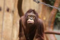 IMG_9802-11.jpg