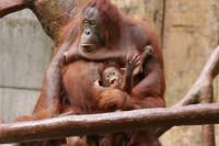 IMG_9866-11.jpg