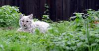 IMG_0399-11.jpg