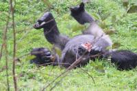 IMG_0726-11.jpg