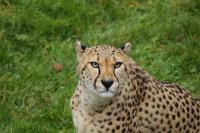 IMG_1585-11.jpg
