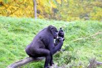 IMG_1687-11.jpg