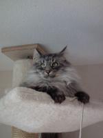 DSCF04491.jpg