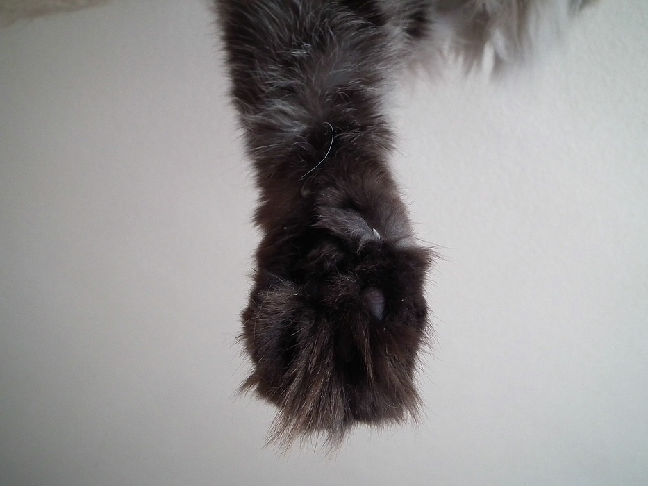 DSCF04611.jpg